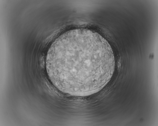 X0000114701204200911181308