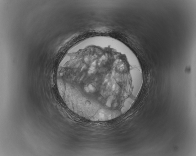 X0000114701205200911181308