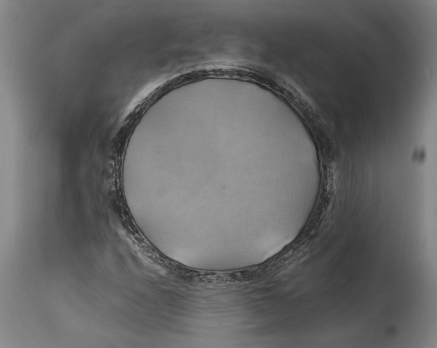 X0000114701208200911181308