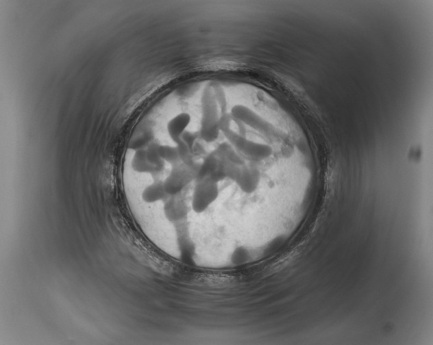 X0000114701209200911181308