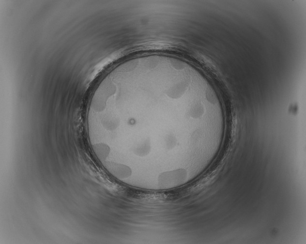 X0000114701210200911181308