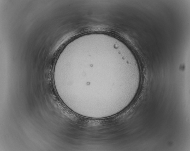 X0000114701211200911181308