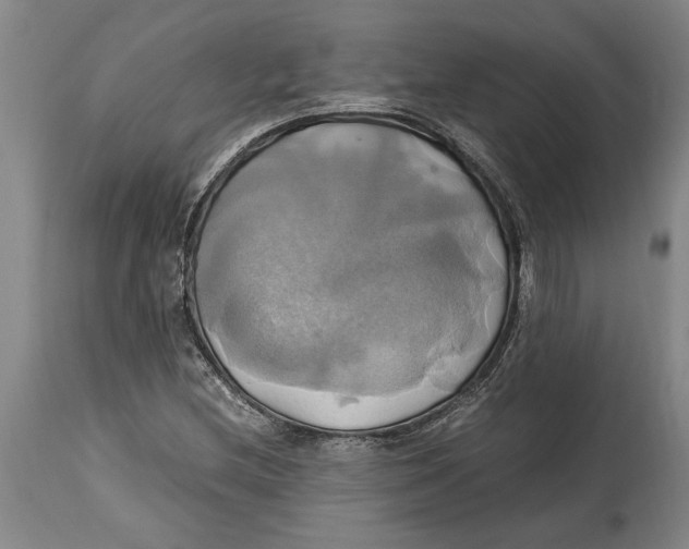 X0000114701212200911181309