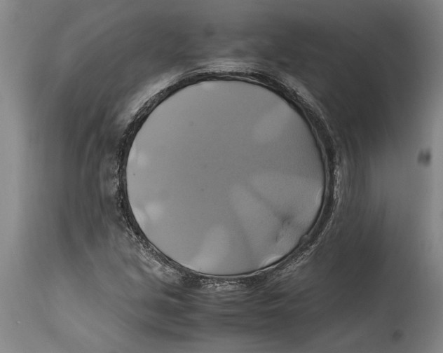 X0000114701213200911181309