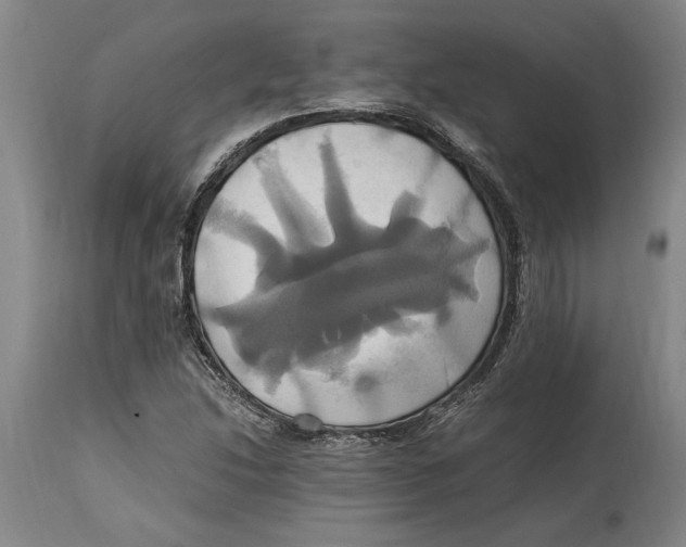 X0000114701214200911181309