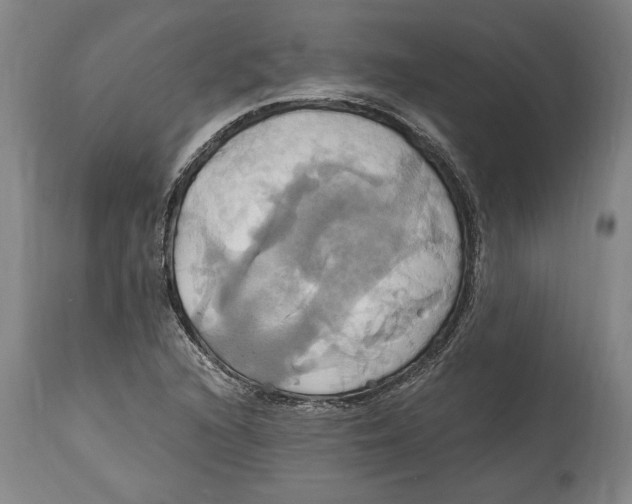 X0000114701216200911181309