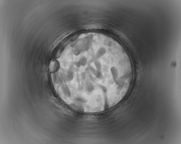 X0000114701217200911181309