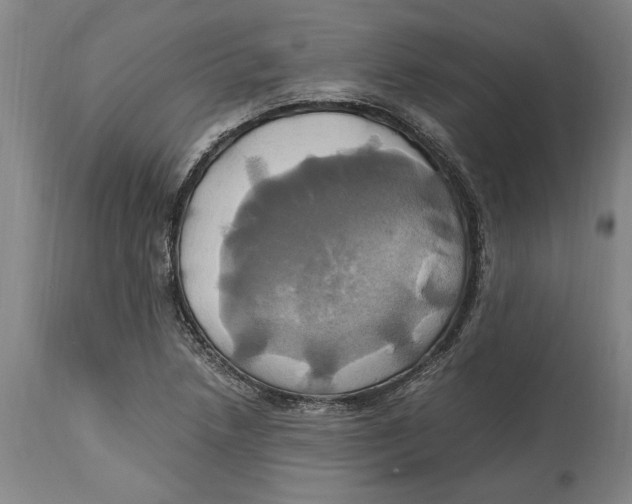 X0000114701218200911181309