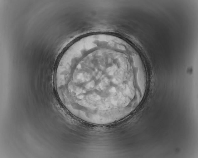 X0000114701220200911181309