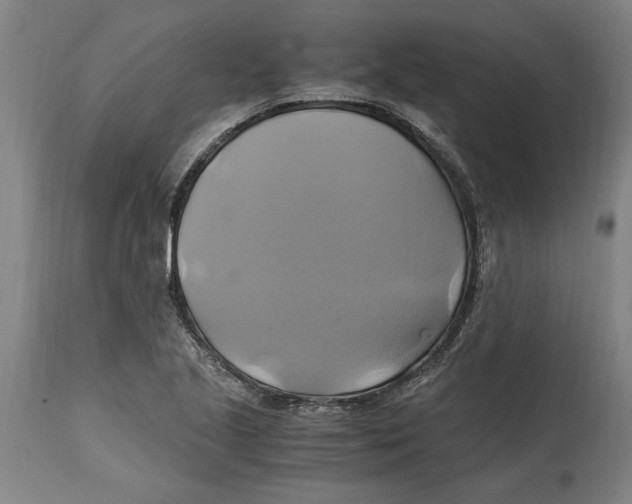 X0000114701221200911181309