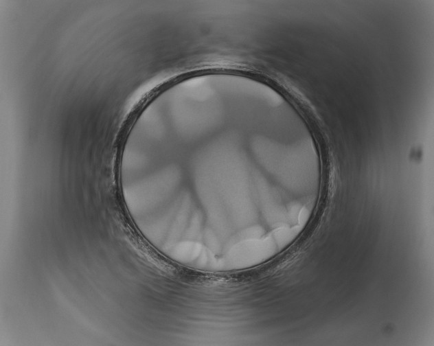 X0000114701222200911181309