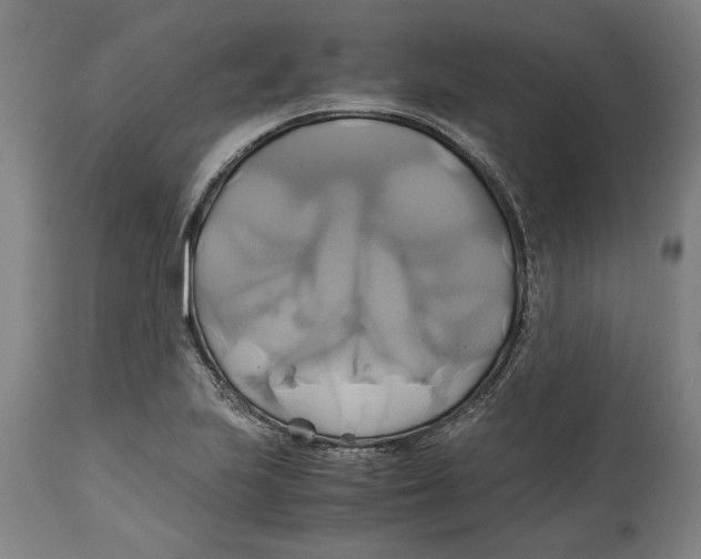 X0000114701223200911181309