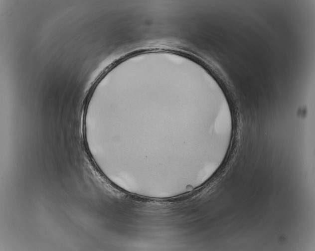 X0000114701224200911181309