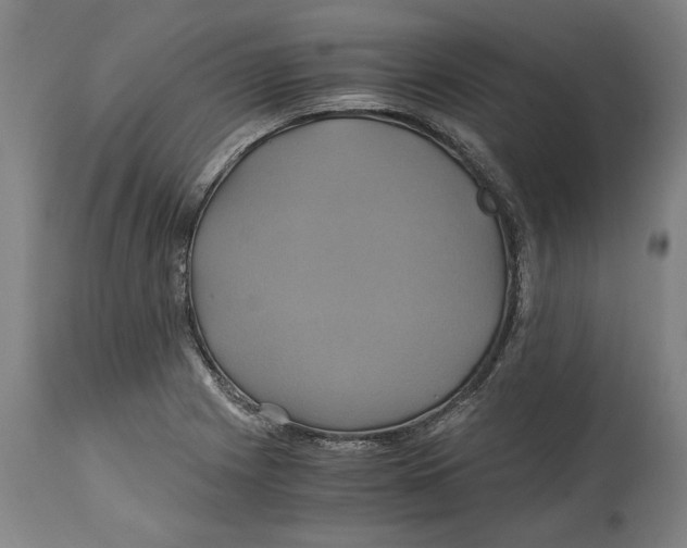 X0000114701225200911181309