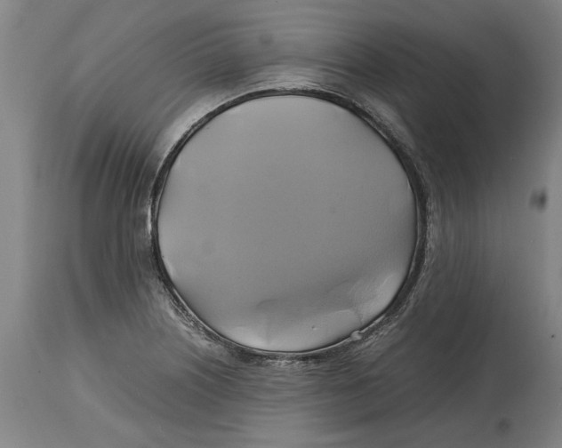 X0000114701226200911181309