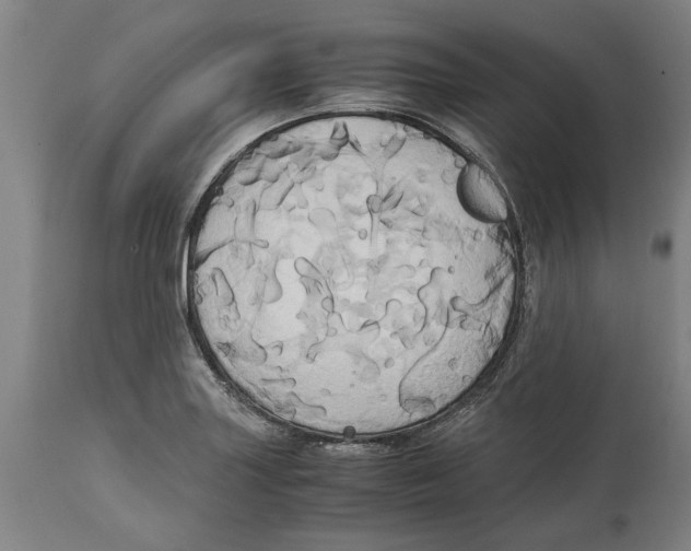 X0000114701227200911181309