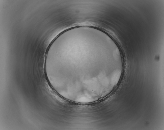 X0000114701228200911181309