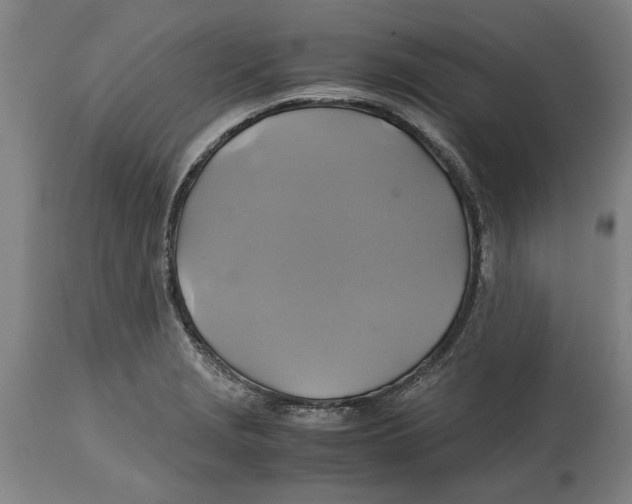 X0000114701229200911181309