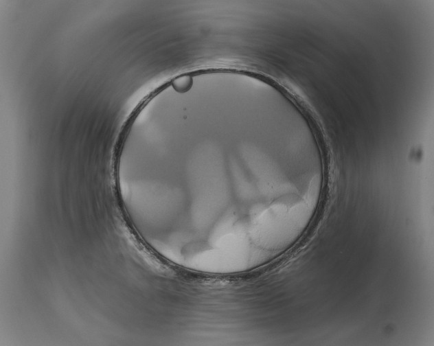 X0000114701230200911181309