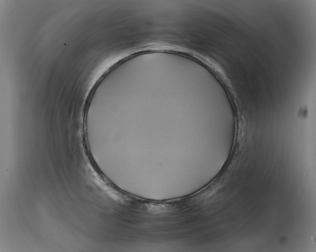 X0000114701231200911181309