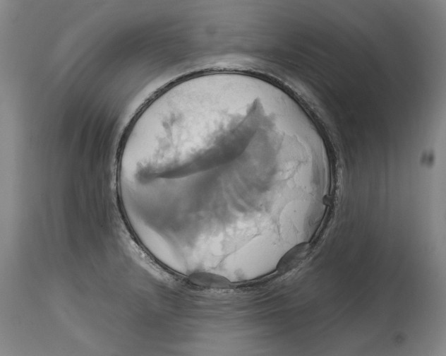 X0000114701232200911181309