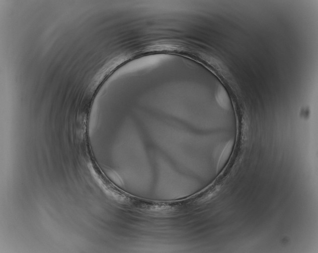 X0000114701233200911181309