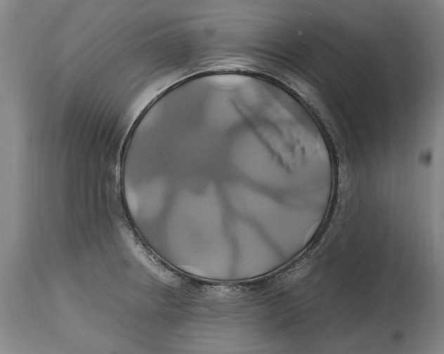 X0000114701234200911181309