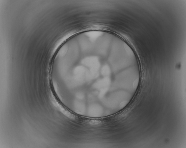 X0000114701235200911181309