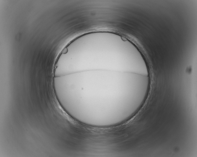 X0000114701236200911181309