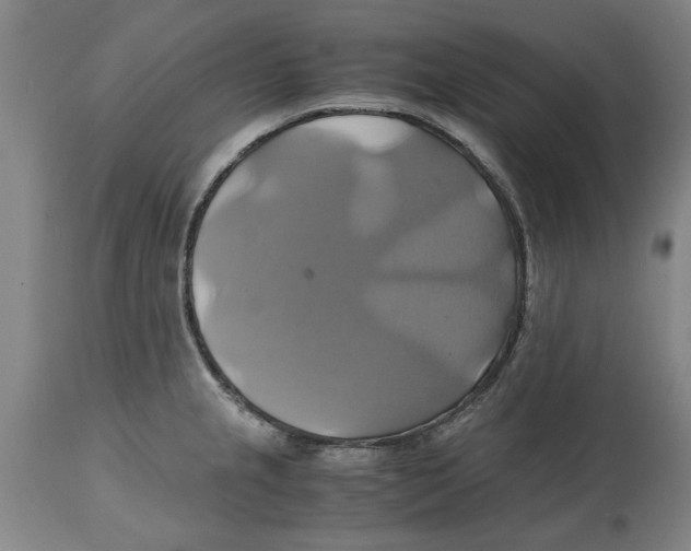 X0000114701237200911181309