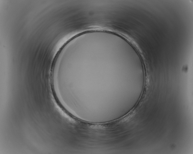 X0000114701239200911181309