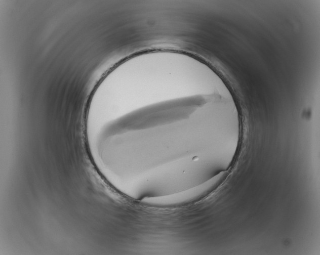 X0000114701240200911181309