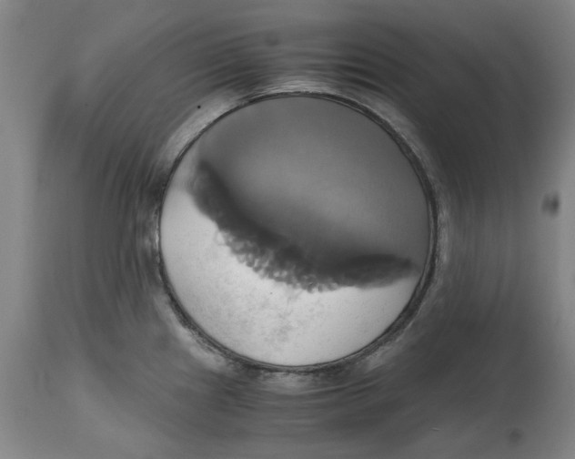 X0000114701241200911181309