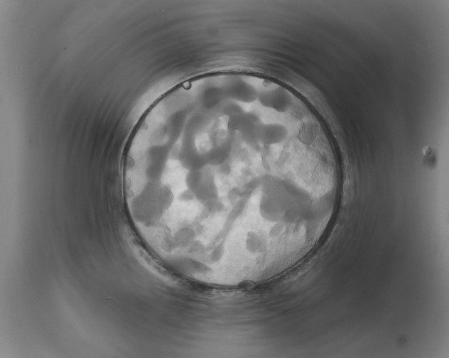 X0000114701242200911181309