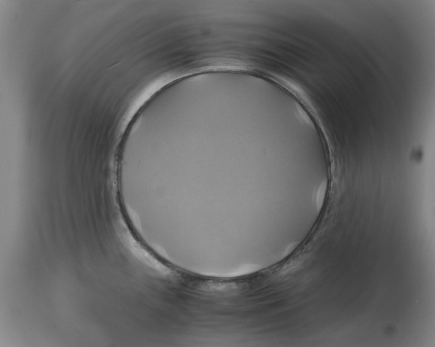 X0000114701243200911181309