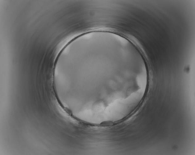 X0000114701244200911181309