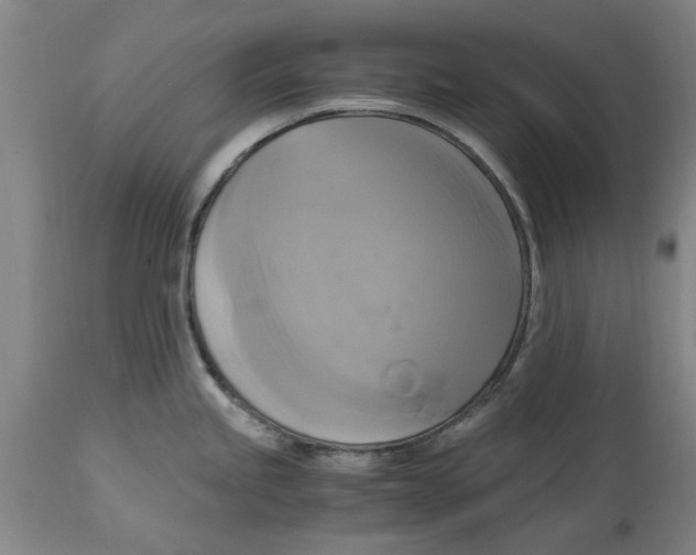 X0000114701245200911181309