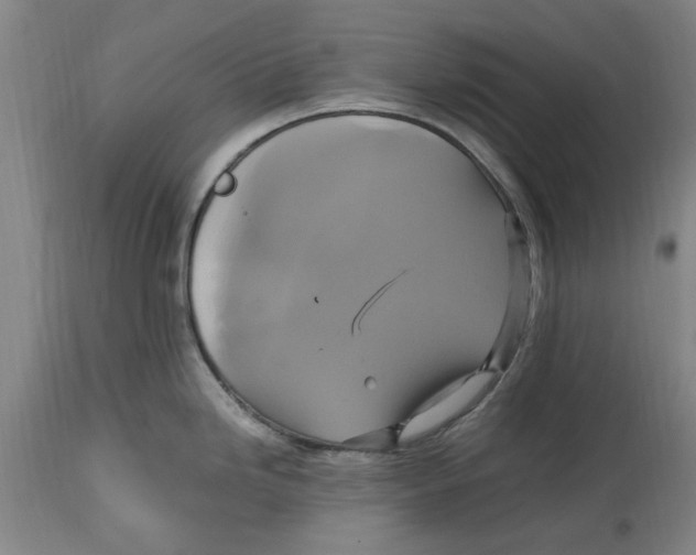 X0000114701246200911181309