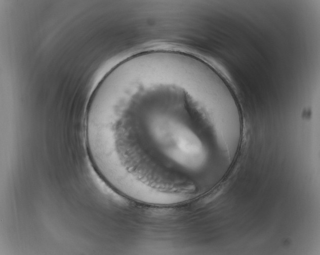 X0000114701247200911181309