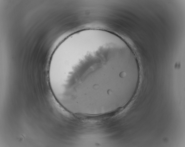 X0000114701248200911181309