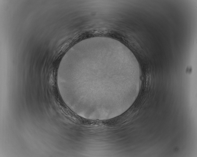 X0000114701250200911181308