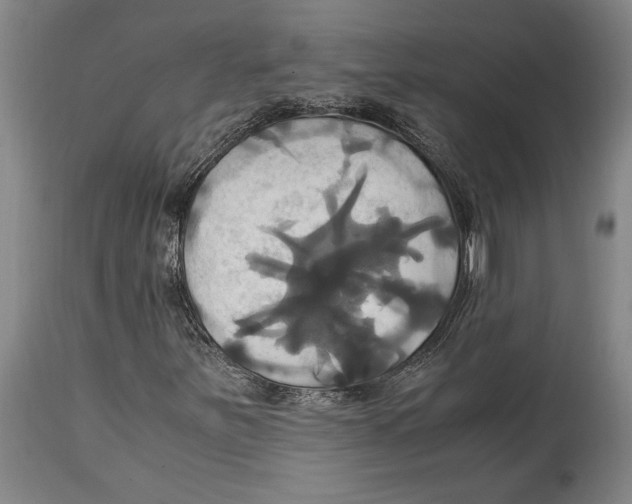 X0000114701251200911181308