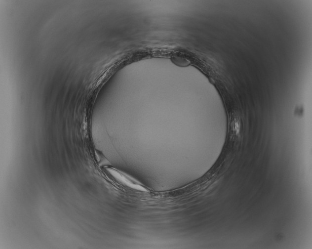 X0000114701252200911181308