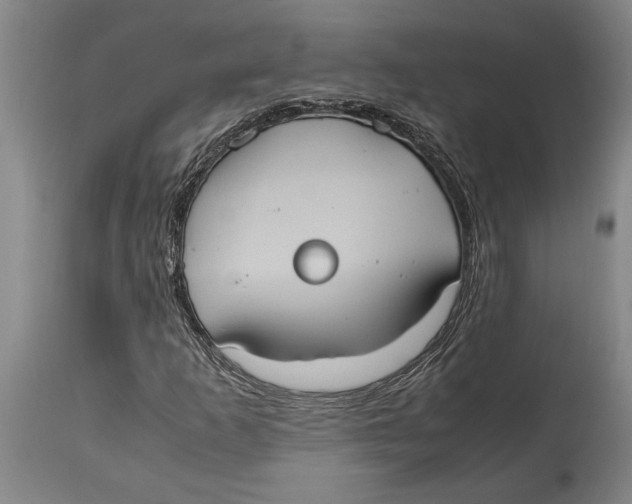 X0000114701253200911181308