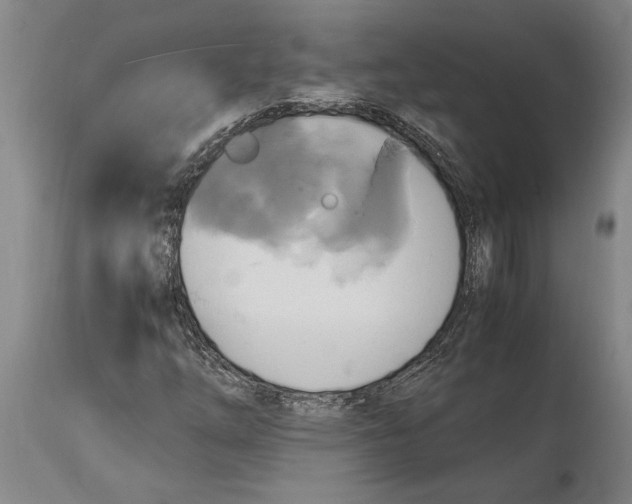 X0000114701254200911181308