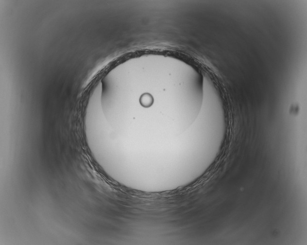 X0000114701256200911181308