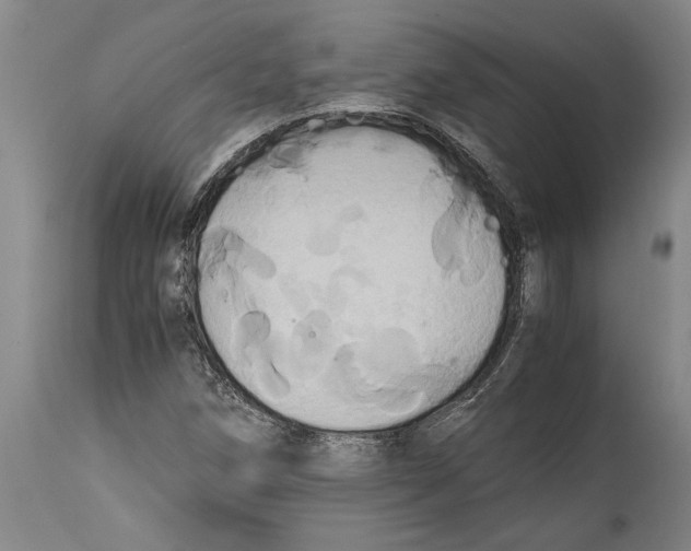 X0000114701258200911181308