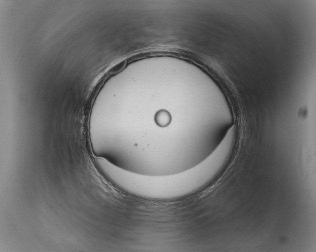 X0000114701260200911181308