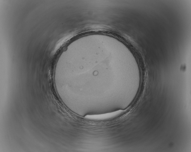 X0000114701261200911181308