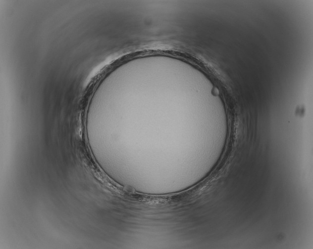 X0000114701262200911181308